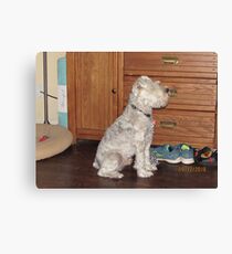 FUR BABY Canvas Print