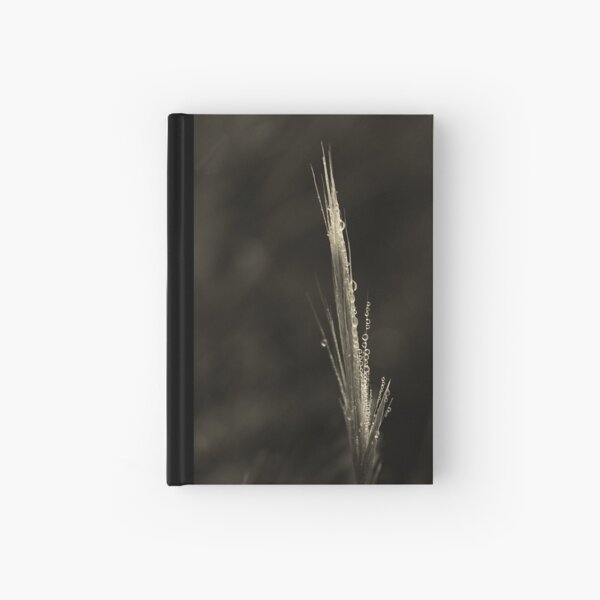 Dreamcatcher: Fiber Optics Hardcover Journal