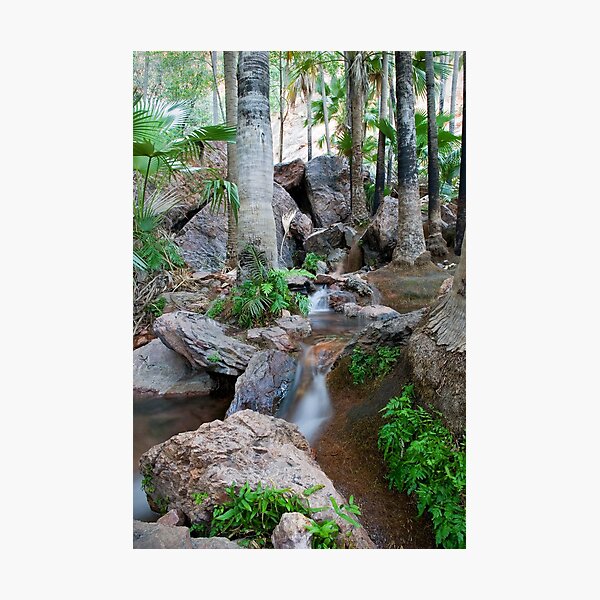 Zebedee Springs - El Questro Wilderness Park Photographic Print
