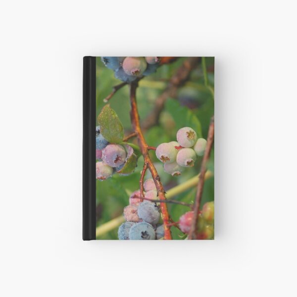 dew covered blueberries Hardcover Journal