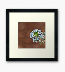 blossoms Framed Print