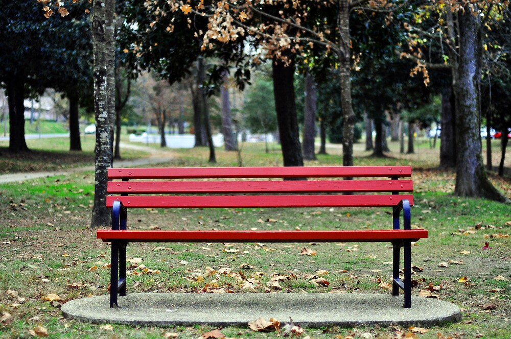 "Red Bench" by Christy Tidwell Redbubble