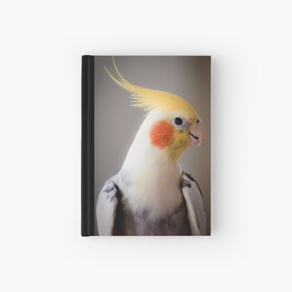 Daisy (or Dave?) Hardcover Journal