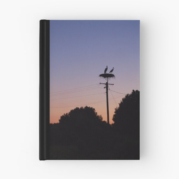 Artikelvorschau, Storks and sunset entworfen und verkauft von MKCn.