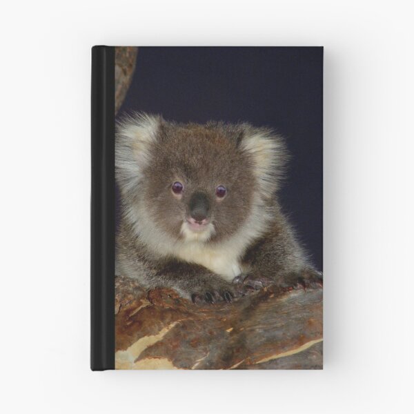 Item preview, Koala Cub designed and sold by Adam Cole.