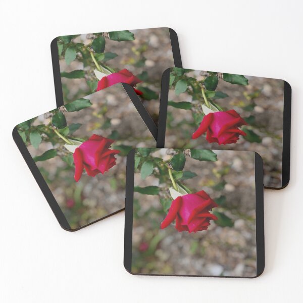 Item preview, Rosebud and Raindrop  designed and sold by KazM.