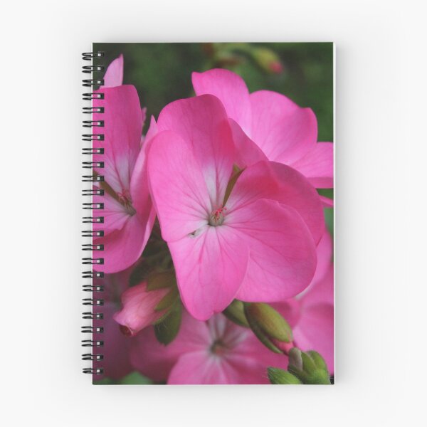 Item preview, Geranium (Pink) designed and sold by wovenbright.