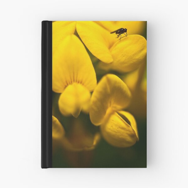 Item preview, Lookout designed and sold by Larrikin  Photography.