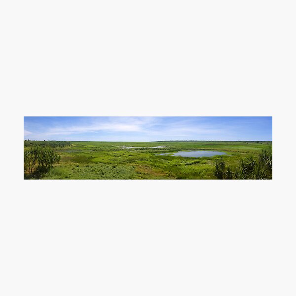 Fogg Dam Wetlands Photographic Print