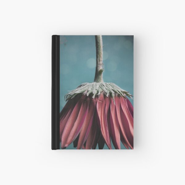 Ragged Blossom's new skirt Hardcover Journal