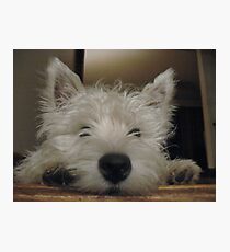 Just Play With Me For a Minute?? Please????? Photographic Print