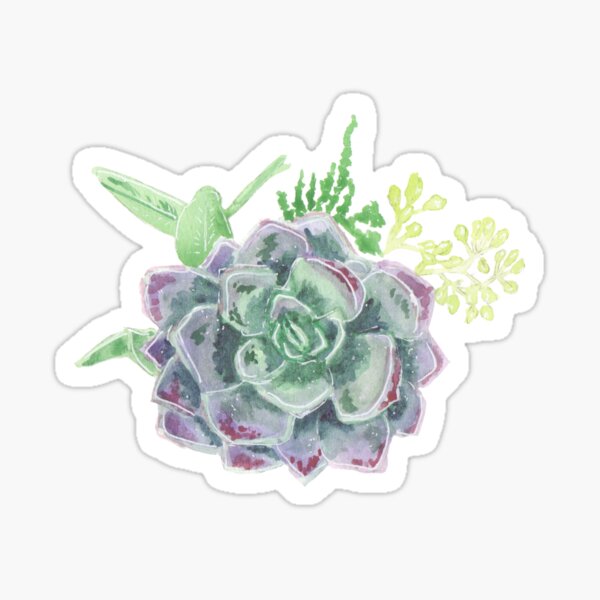 Purple Succulent Bouquet Sticker
