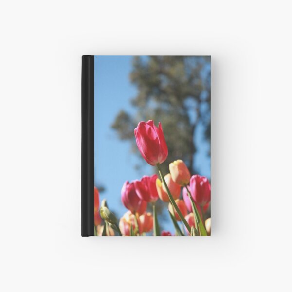 Tulips and Araluen Hardcover Journal