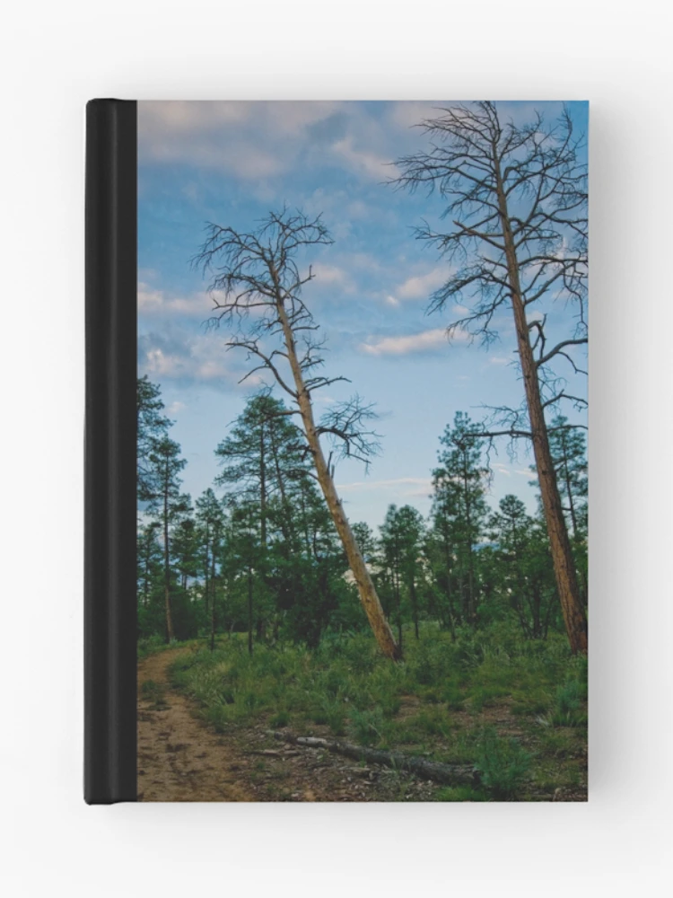 Thumbnail 1 of 3, Journal, Forest Path Too designed and sold by Modified.
