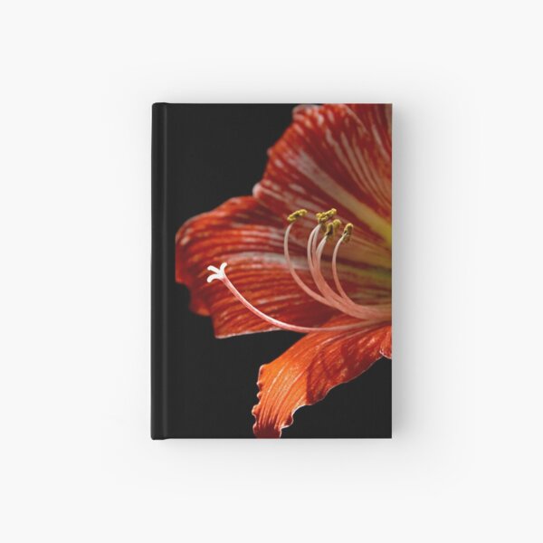 Sticky Fingers Hardcover Journal