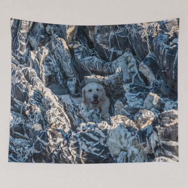 Item preview, Golden Retriever Resting in Rocks at Marina Ascea Italy designed and sold by Jon Shore.