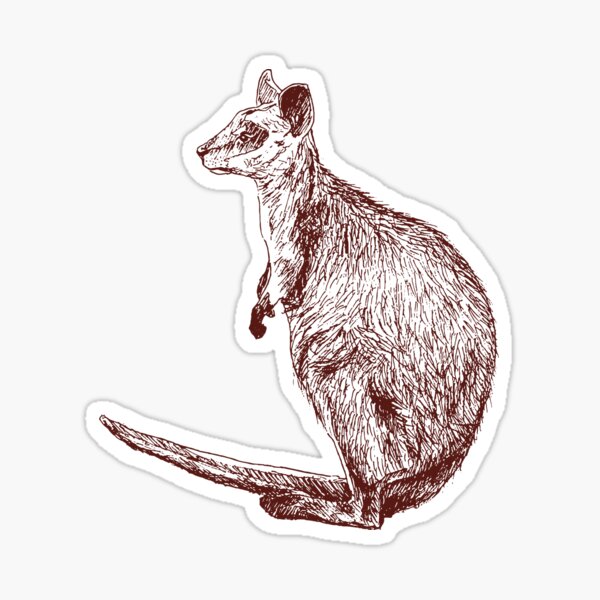 Swamp Wallaby Sticker
