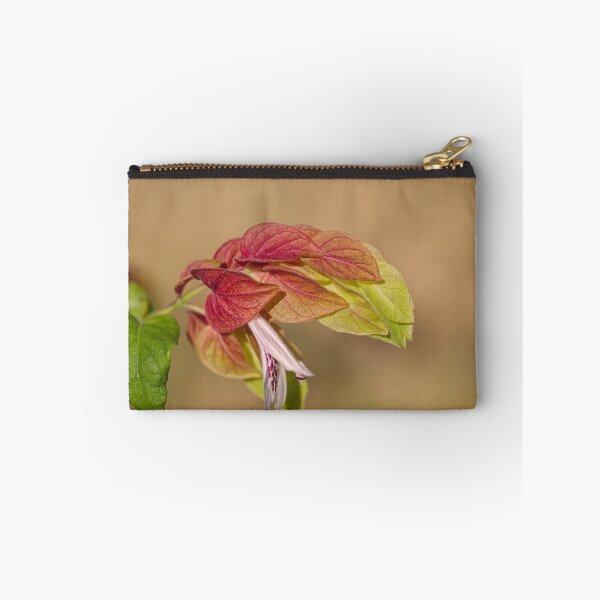 Artikelvorschau, Garnelenpflanze, Blume entworfen und verkauft von Joy Watson - Natural Light Photography .