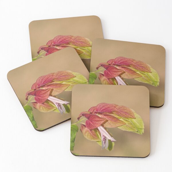 Item preview, Shrimp Plant, Flower designed and sold by Joy Watson - Natural Light Photography .