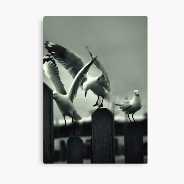 Poetry in Motion Canvas Print
