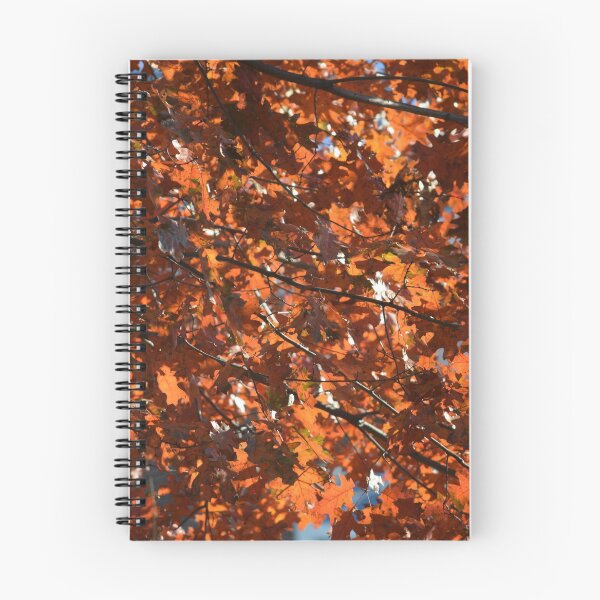 Item preview, Central Park - remnants of autumn designed and sold by slitheenplanet.