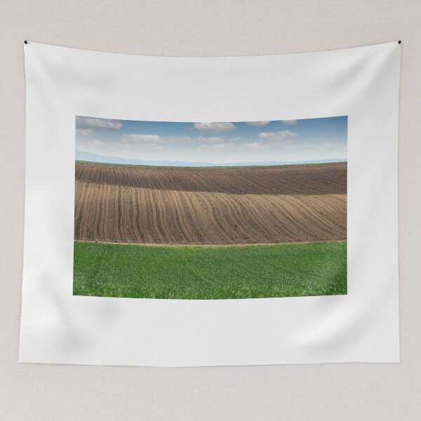 Item preview, plowed field and young green wheat spring season landscape agriculture designed and sold by goceris.