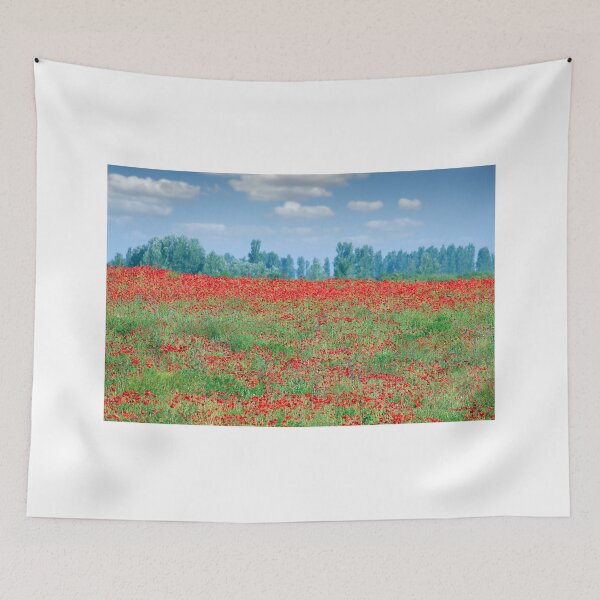 Aperçu de l'œuvre coquelicots rouges champ de fleurs paysage printemps saison créée et vendue par goceris.