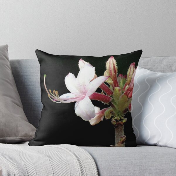 Item preview, Wild Pink Azalea designed and sold by Jean Gregory Evans.