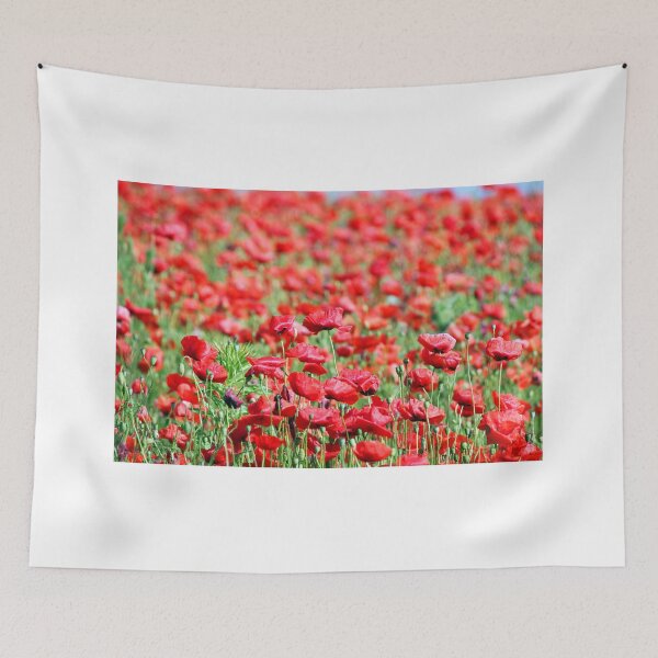 Aperçu de l'œuvre coquelicots rouges prairie printemps saison paysage créée et vendue par goceris.