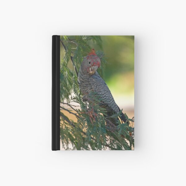 Gang Gang Cockatoo Hardcover Journal