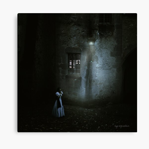 Two In The Night... Canvas Print