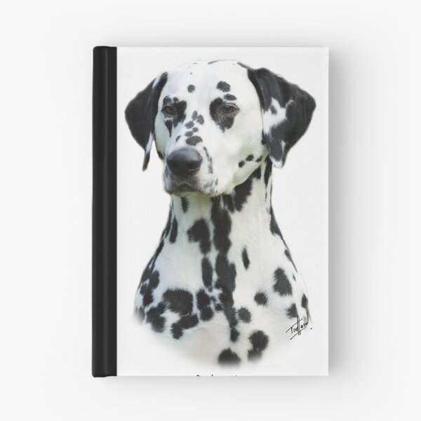 Item preview, Dalmatian designed and sold by Traffordphotos.