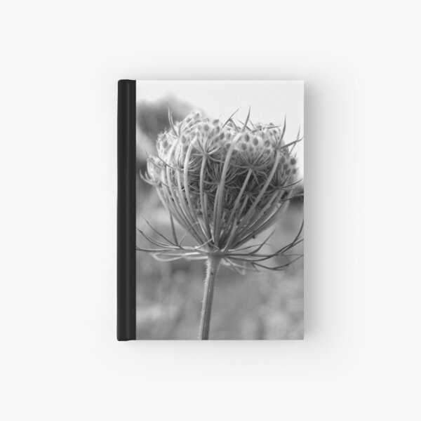 Beautifully alone Hardcover Journal