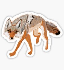 Pegatina Totem coyote full body