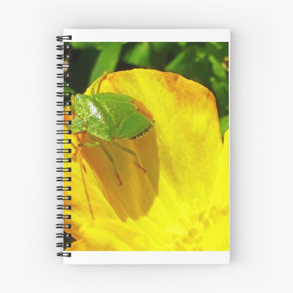 Item preview, Green Shield Bug designed and sold by Sue Gurney.