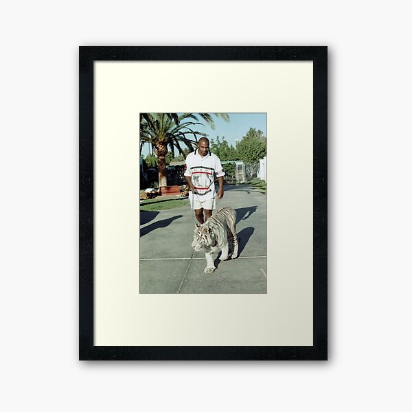 Mike Tyson walking his tiger on a lead Framed Art Print