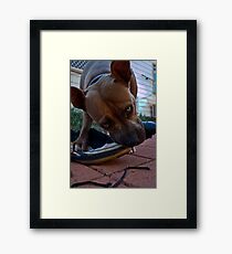 Nike Air Pilbara (Part II) Framed Print
