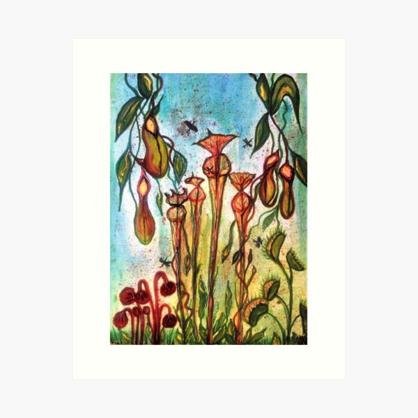 Item preview, beautiful venus fly trap pitcher palnt carnivorous plant abstract painting art by mysticladyart sun sea  love travel mystic empath symbolic earth   designed and sold by mysticladyart.