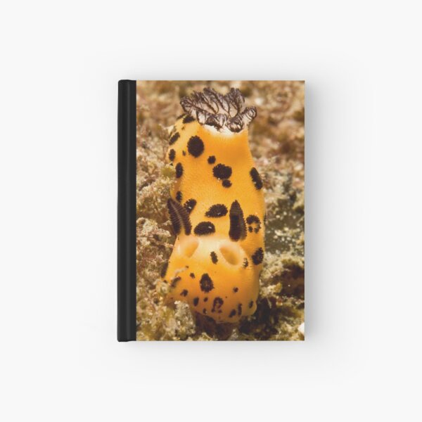 Nudi Hardcover Journal