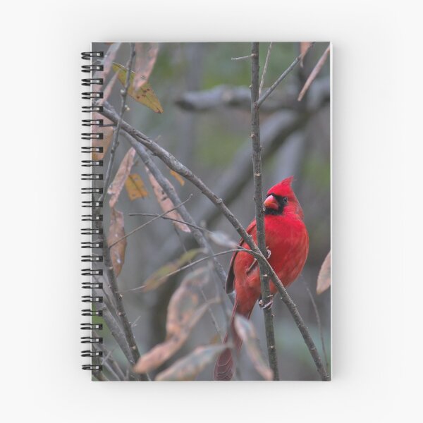 Item preview, Cardinal on Watch designed and sold by Brad Chambers.