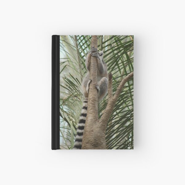 Always up Hardcover Journal