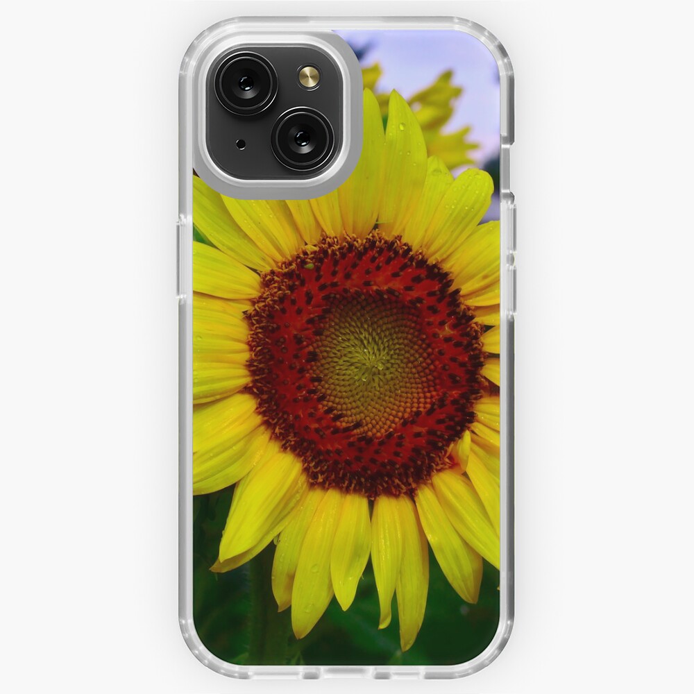 Item preview, iPhone Soft Case designed and sold by bchambers1.