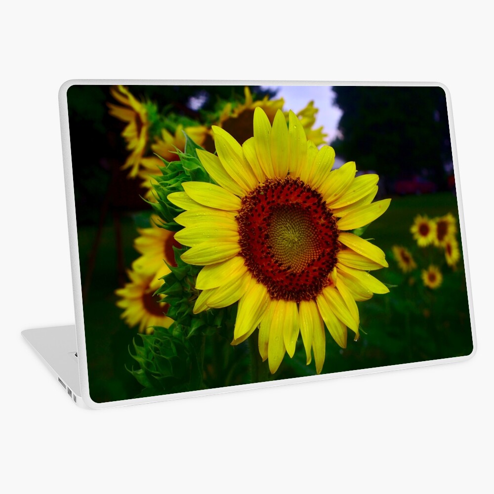 Item preview, Laptop Skin designed and sold by bchambers1.