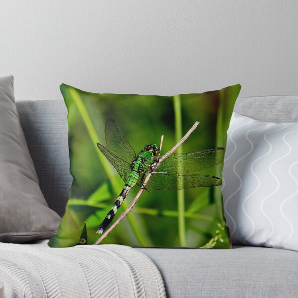 Item preview, Green Dragonfly designed and sold by Brad Chambers.