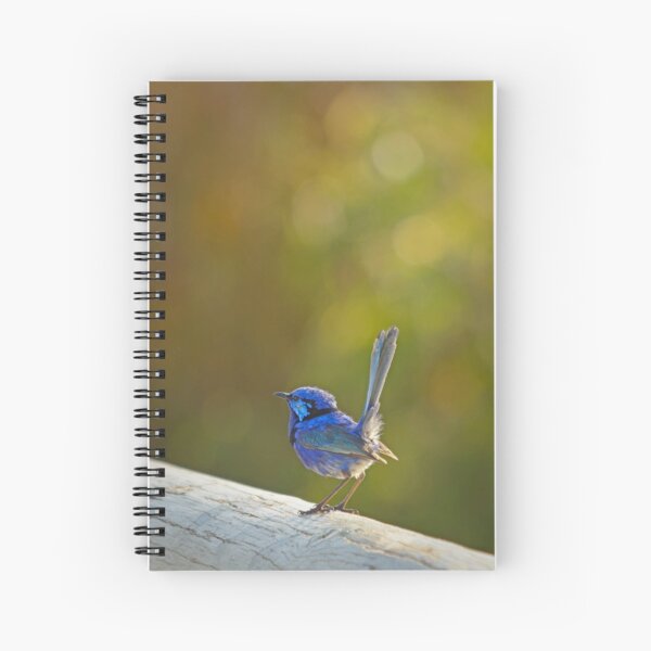 Item preview, Splendid fairy-wren designed and sold by Jennie  Stock.