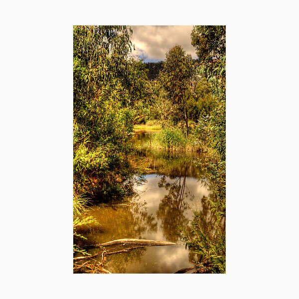 Item preview, And His Ghost Maybe Heard - Tidbinbilla Sanctuary - The HDR Experience designed and sold by Salieri1627.