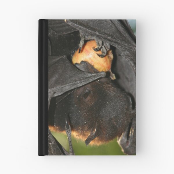 Item preview, Tasty Treat (Kakadu) designed and sold by InNature.