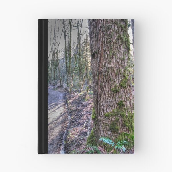 Item preview, the trail designed and sold by Bruce  Dickson.