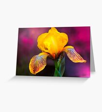 Yellow Iris Greeting Card