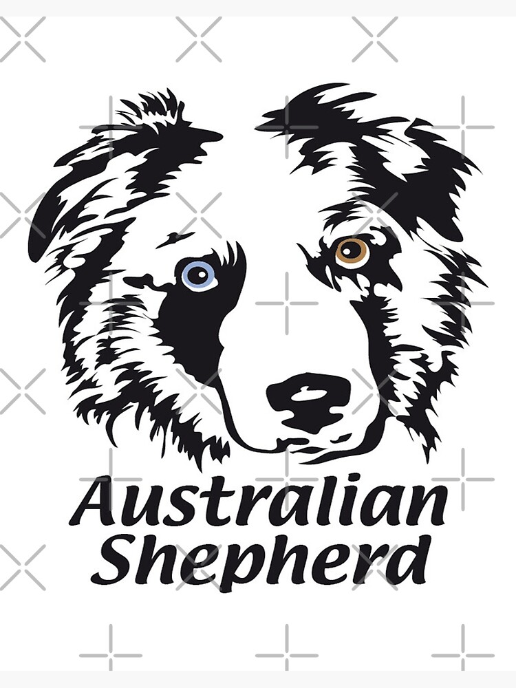 Australian Shepherd One Blue Eye One Brown Eye Art Board Print For Sale By Pam069 Redbubble